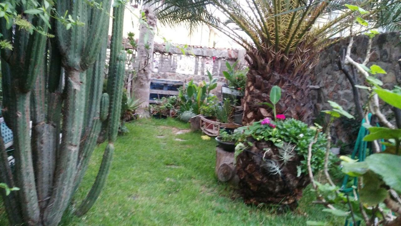 Casa El Drago-Tafira Baja Apartman Las Palmas de Gran Canaria Kültér fotó