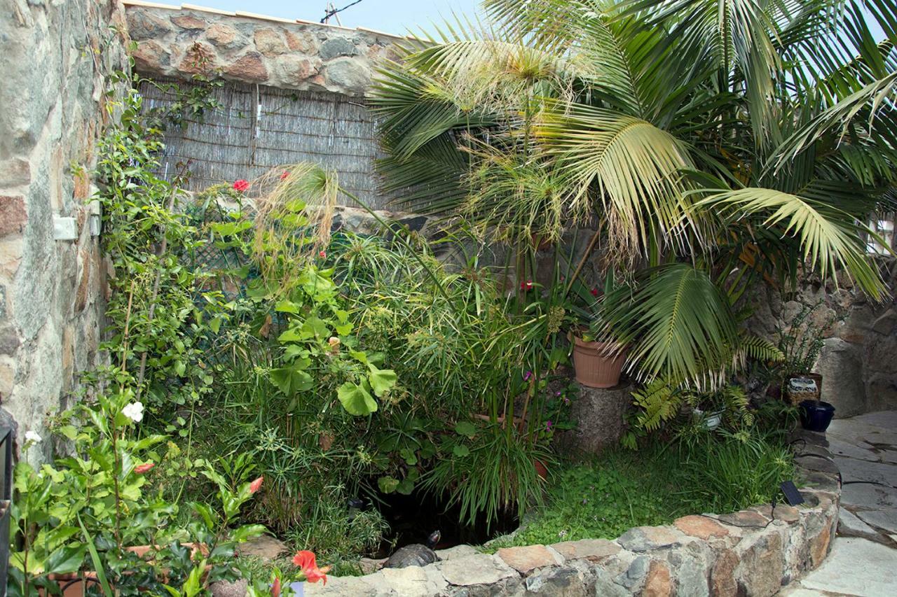 Casa El Drago-Tafira Baja Apartman Las Palmas de Gran Canaria Kültér fotó