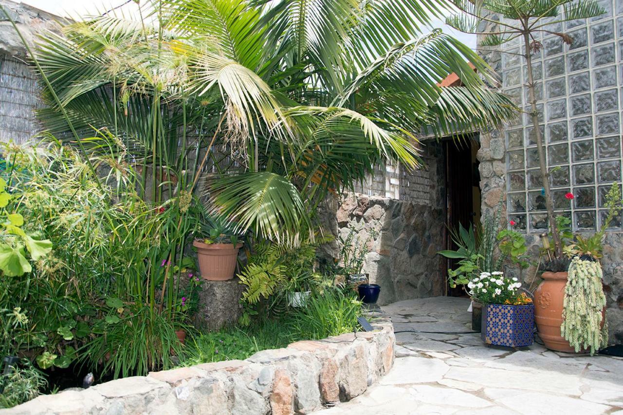 Casa El Drago-Tafira Baja Apartman Las Palmas de Gran Canaria Kültér fotó